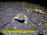 /home//u458753944/public_html/sourcegallery//McKaig Nature Center/2020-09-27/P9270683.JPG